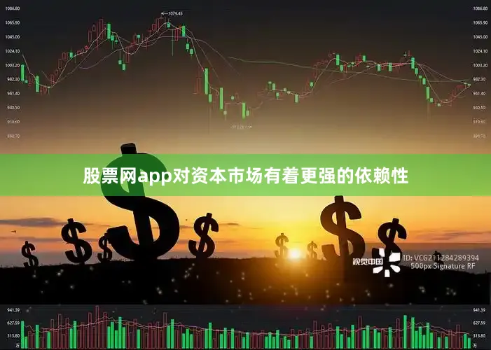股票网app对资本市场有着更强的依赖性