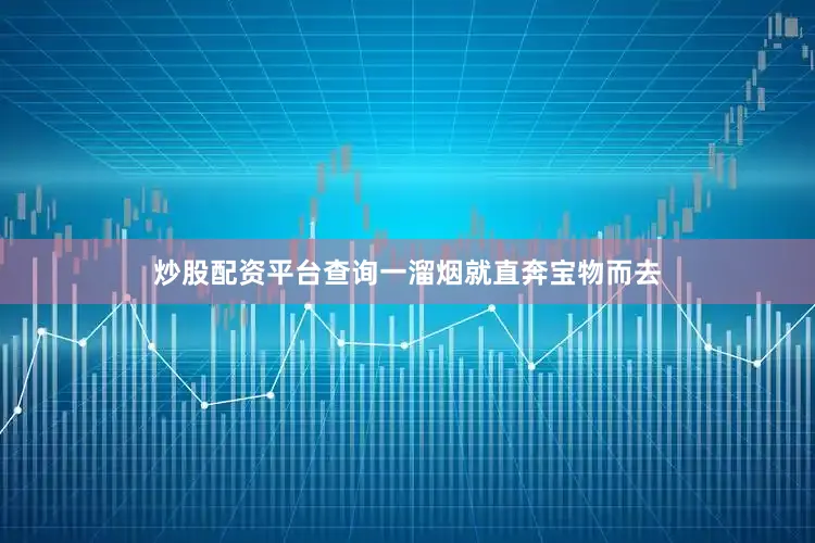 炒股配资平台查询一溜烟就直奔宝物而去