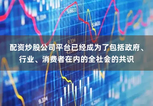 配资炒股公司平台已经成为了包括政府、行业、消费者在内的全社会的共识