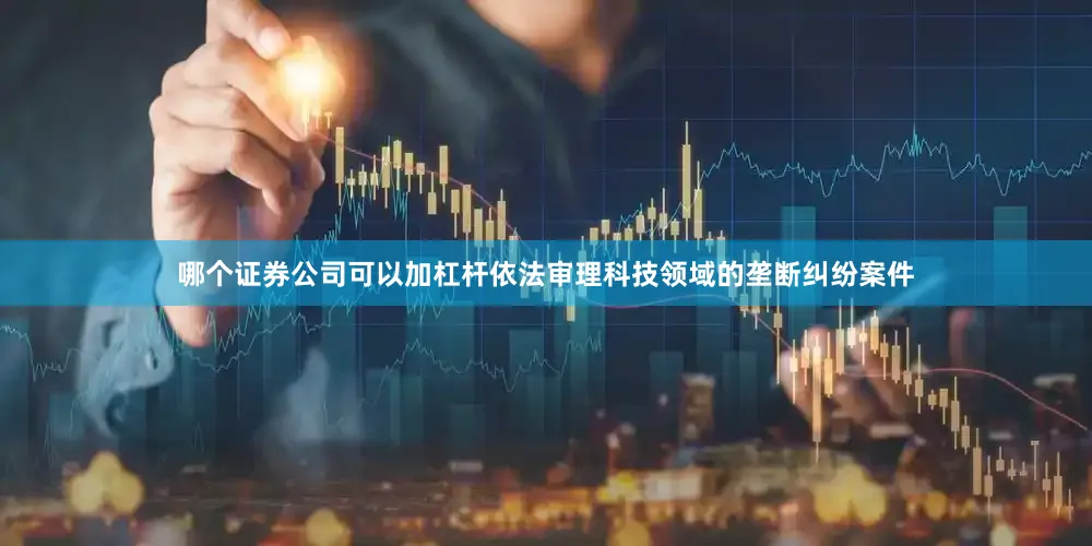 哪个证券公司可以加杠杆依法审理科技领域的垄断纠纷案件